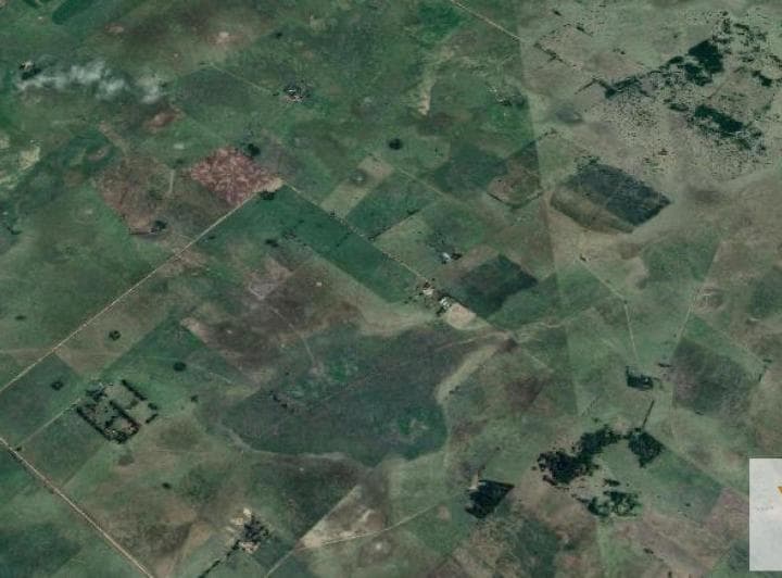 Campo en Venta - Casa - 248ha - Cañuelas - 5