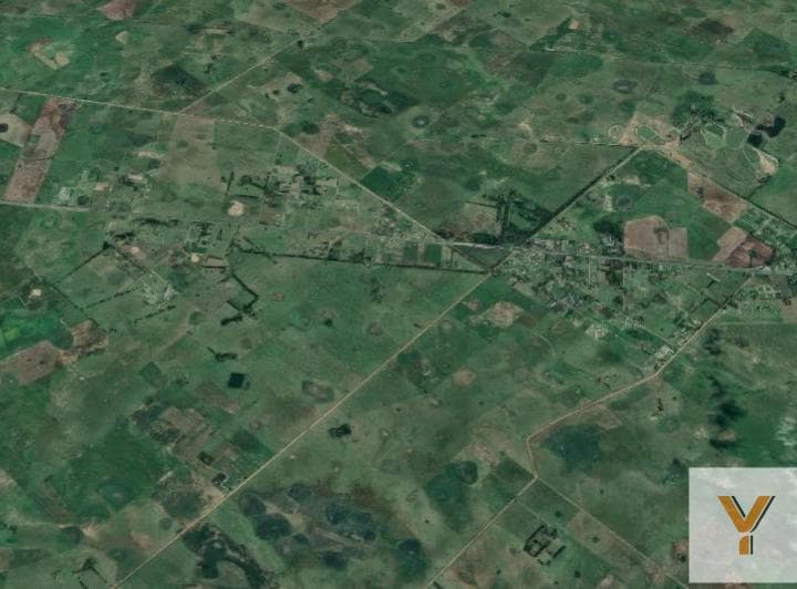 Campo en Venta - Casa - 248ha - Cañuelas - 4