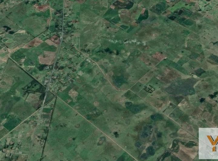 Campo en Venta - Casa - 248ha - Cañuelas - 3