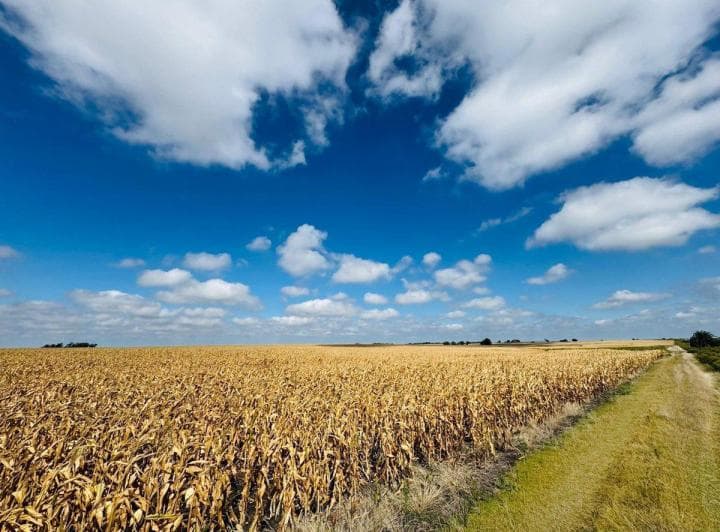 Venta de Campo Agrícola en Soriano - 3