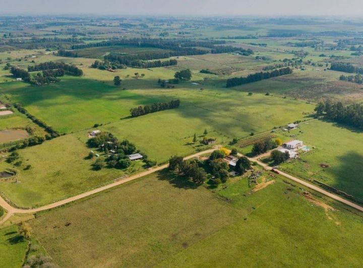 Venta Chacra 2,25 Ha Los Cerrillos Canelones - 5
