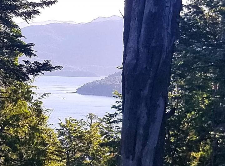 Venta de Casa con Vista Al Lago Nahuel Huapi - 4