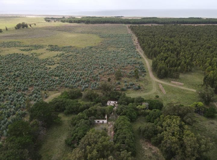 Campo en Venta en Playa Rocosa Necochea - 4