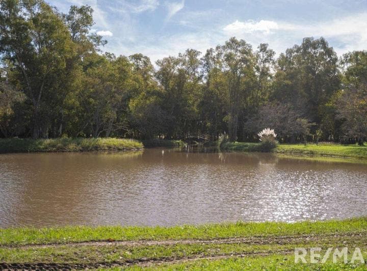 Venta Lote Chacra 10.900 m² La Macarena Financiado - 5