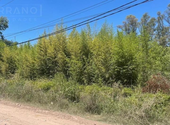 Venta de Terreno en Villa Rosa Zona Industrial - 2