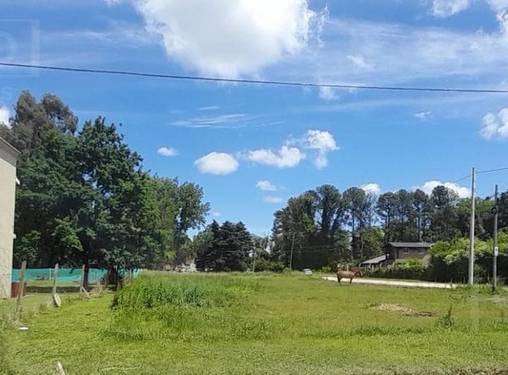 Venta Terrenos, Parque Sakura, Calles Guiraldes E Ingenieros Al 700. Exaltación de La Cruz - 5