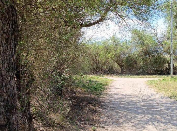 Excelente Lote en Esquina de 783 m² (Opcional Lote Contiguo) Cercanía Al Centro y Entorno Natural - 3
