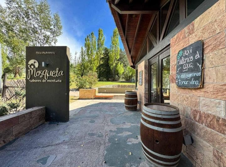 Restaurante en Venta en Potrerillos, Mendoza - 3