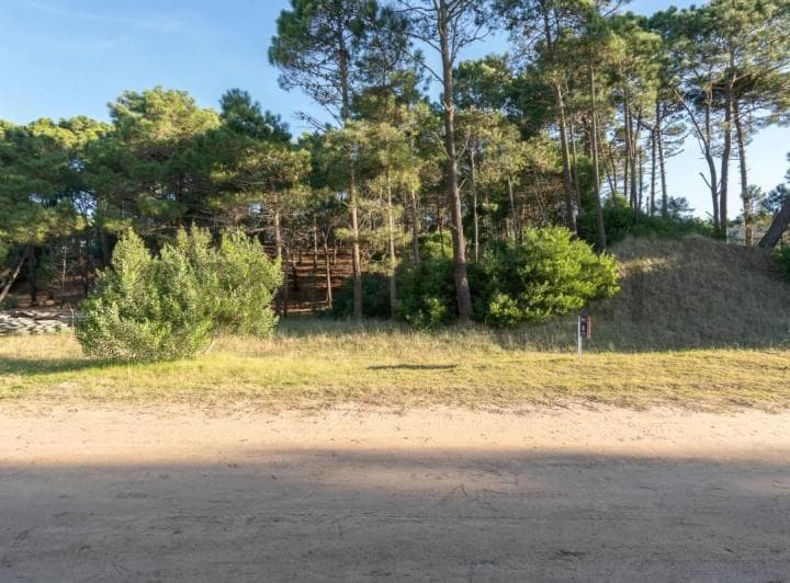 Venta Lote Álamos Pinamar - 2