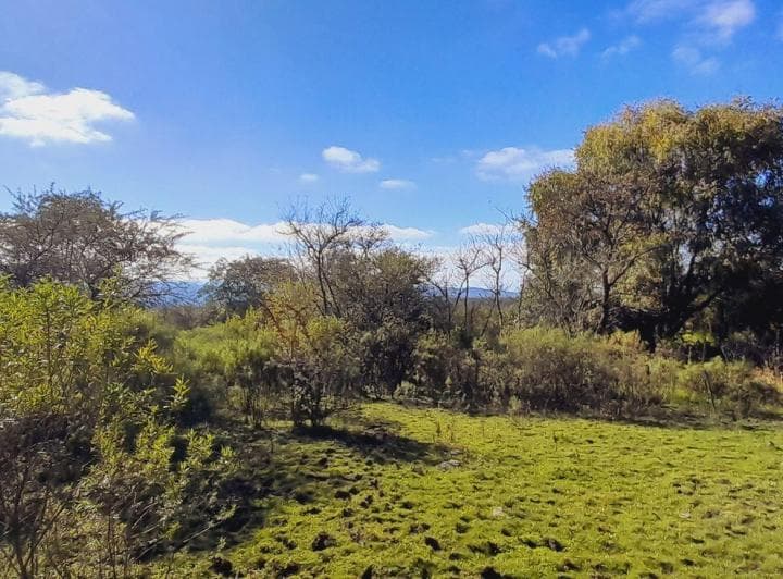 Venta de Terreno 5817 Mc en Los Paños Sobre Ruta - 4