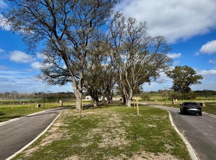 Estancia Carabassa Venta Lote 811 m² Ulrich Propiedades - 5
