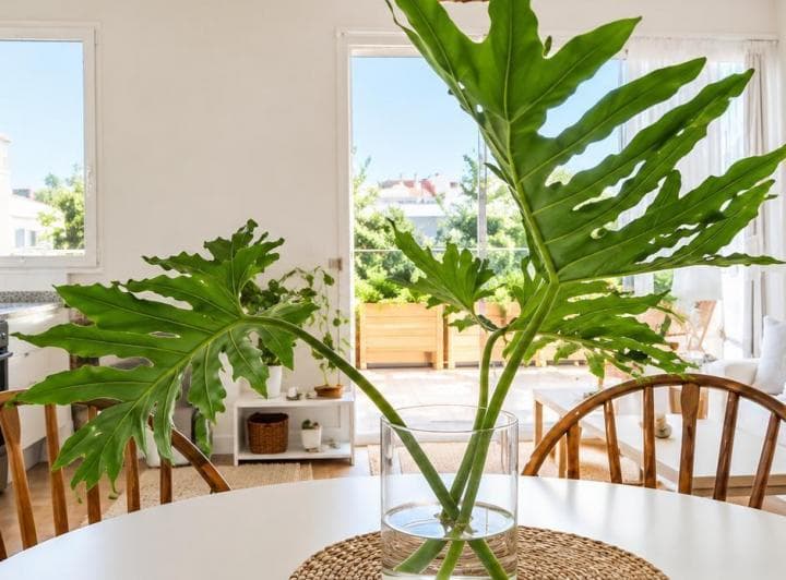 Venta 2 Ambientes Refaccionado a Nuevo con Balcón Terraza – Apto Airbnb - 5