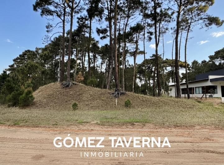 Terreno en Venta, Alamos II, Pinamar. - 2