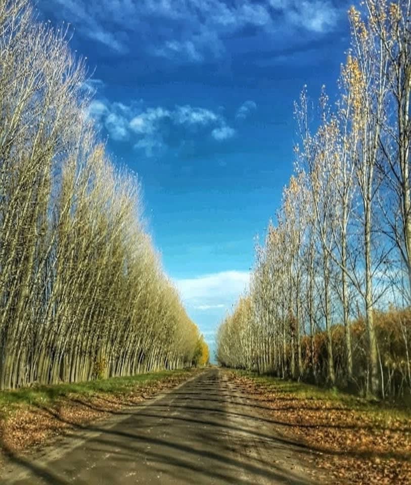 En venta 10 hectáreas en la provincia de Mendoza!!